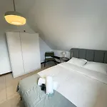 Arlon -